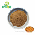 Cordyceps Polysaccharide Cordycepin Cordyceps Militaris Extract 50%Polysaccharide mycelium Factory